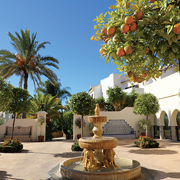 Courtyard area with orange trees in fruit