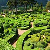 Walk around the Jardins de Marqueyssac which overlooks the entire Dordogne Valley