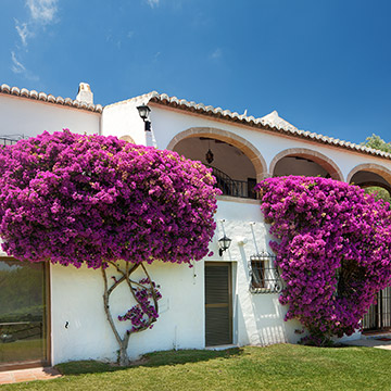 Villa Margarita