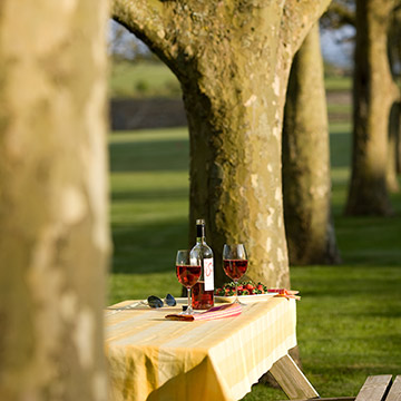 The perfect spot for a picnic