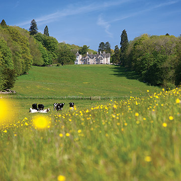 Merlewood's stunning setting