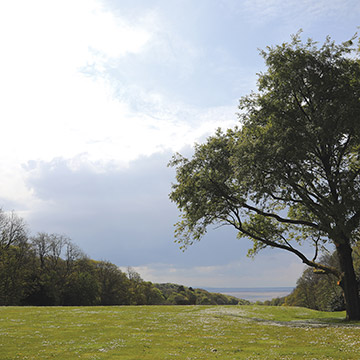 The view of Grange Over Sands from the gardens