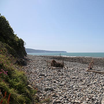 Peppercombe Beach nearby