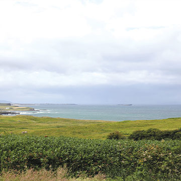 Ballylinny nestled in the countryside