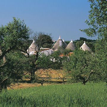 View of our Trulli from across the Italian countryside