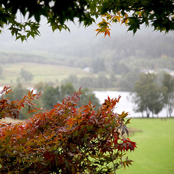 Autumnal colours in the gardens